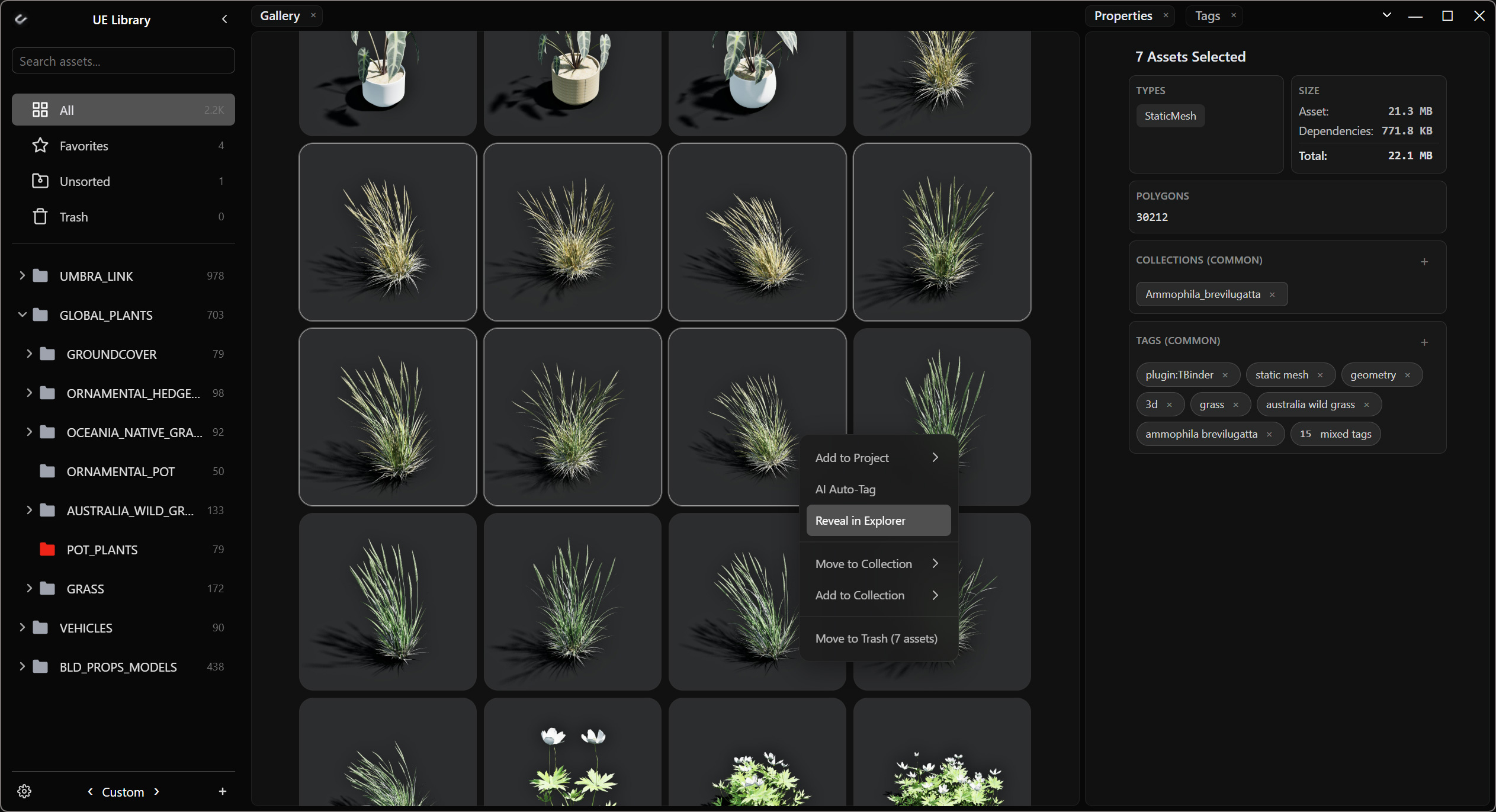 Umbra View asset gallery with tags and collections